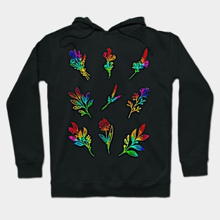 Neon Rainbow Wild Flower Sprigs Hoodie